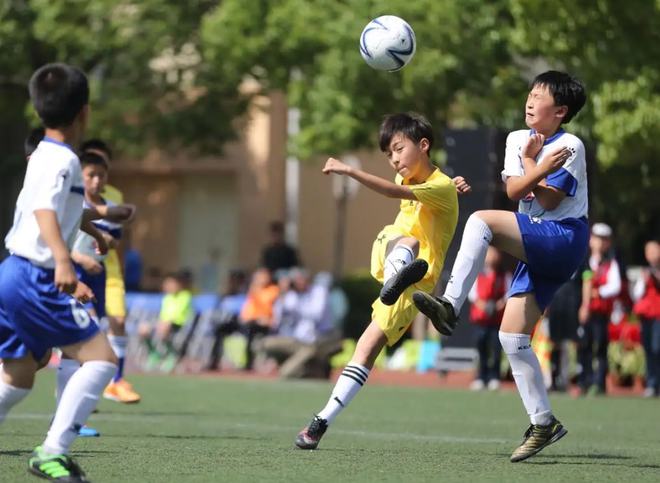 



金明幼儿园邀请专业足球教练张虎开展足球知识和技能培训