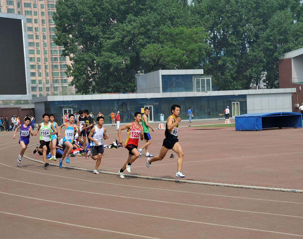 2006年上海市高中毕业生体育运动成绩证明表-乐题库