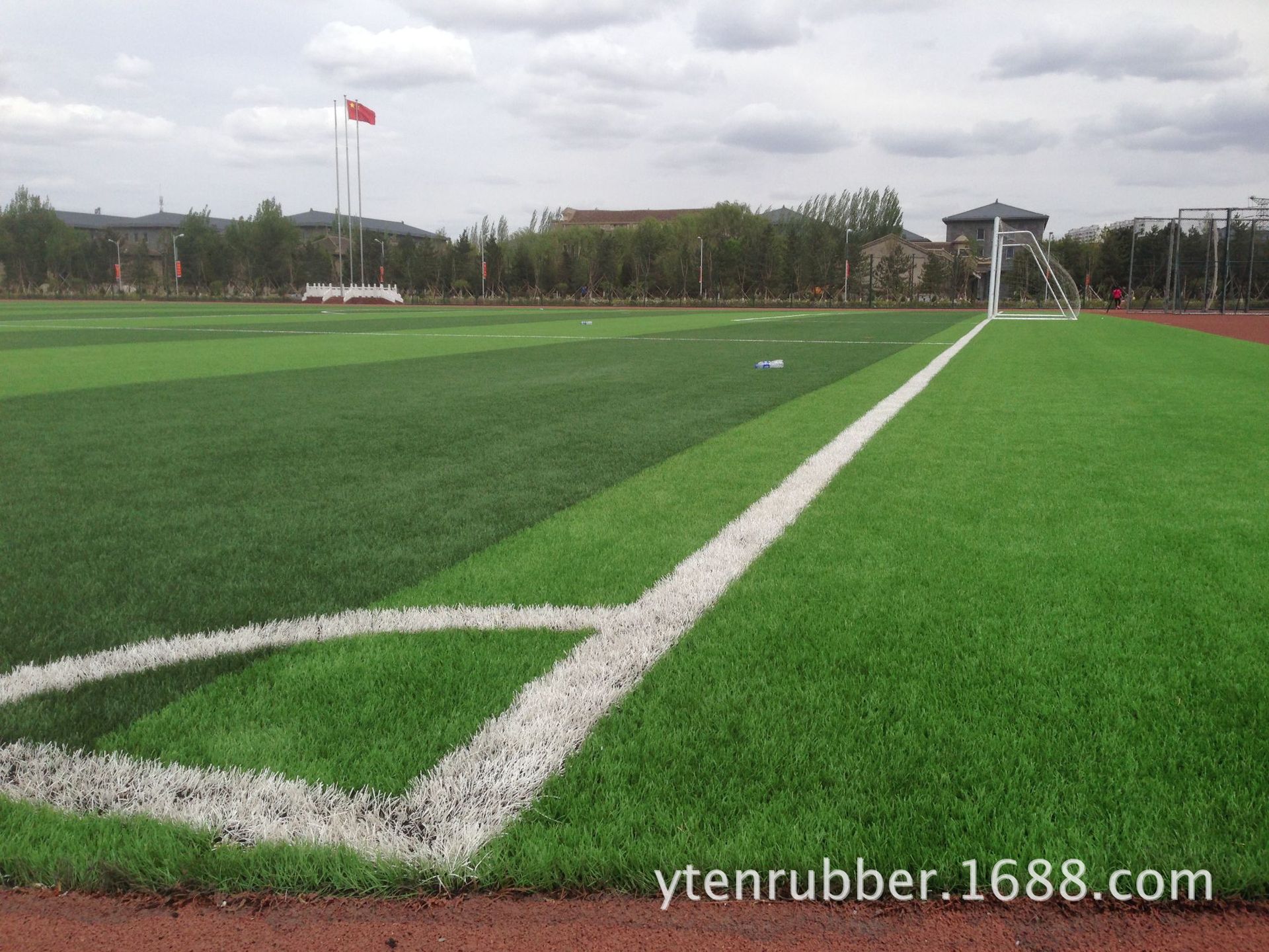 2019年国内专业体育场建议建设更多天然草坪足球场地