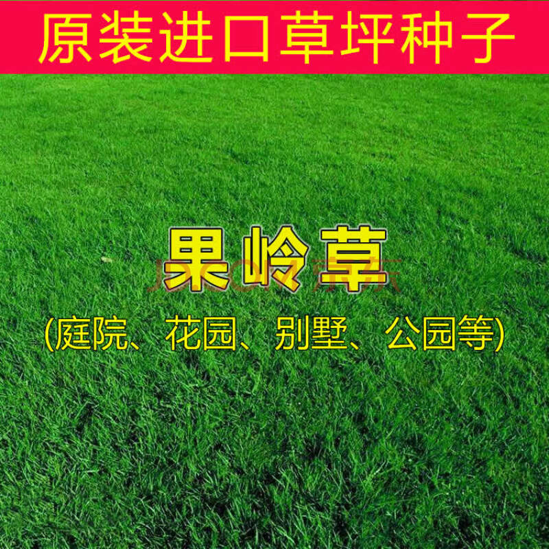 
宁安绿化草坪种子多少钱一平方临川生态护坡(组图)
