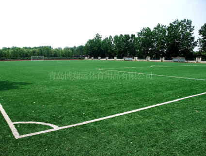 人工草坪足球场地面施工流程及方案，足球场体育为您剖析