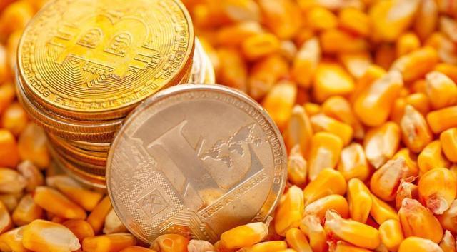玉米：多方助力，市场即将爆发！
