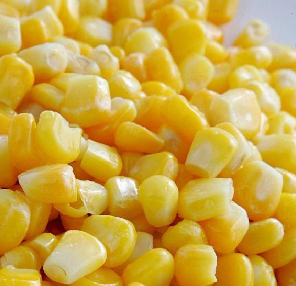 惠农网小编：今日玉米多少钱一斤?7月玉米价格行情如何