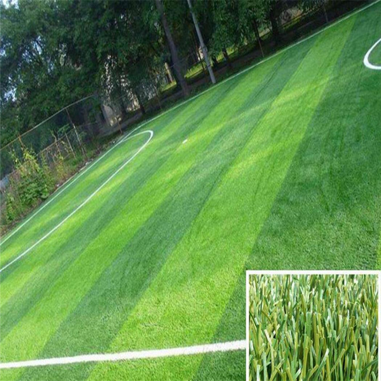天然草坪足球场地实地施工介绍及施工流程介绍-足球场




