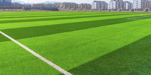 足球草又称之为足球场人造草，用草皮建造运动场地