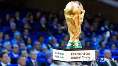 2022年卡塔尔世界杯赛将于11月21日打响！！