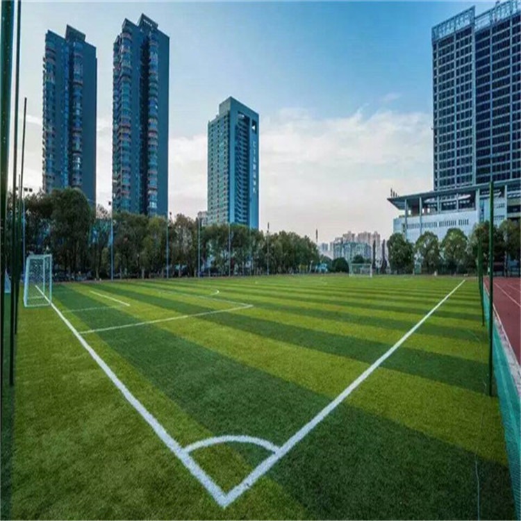 2035年我市人均体育场地面积达3.30平方米拥有1块足球场
