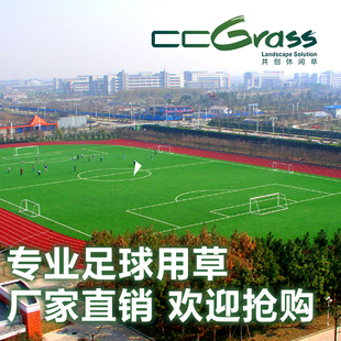 杭州亚运会东体育场建成当年就举办过一场全国赛事浙江师范大学
