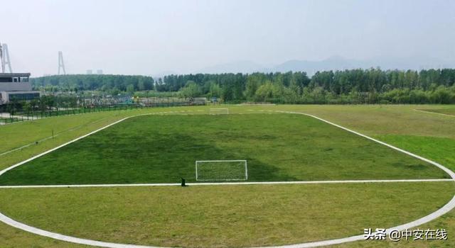 


巢湖首个天然草坪标准足球场已建成并将投入使用(图)
