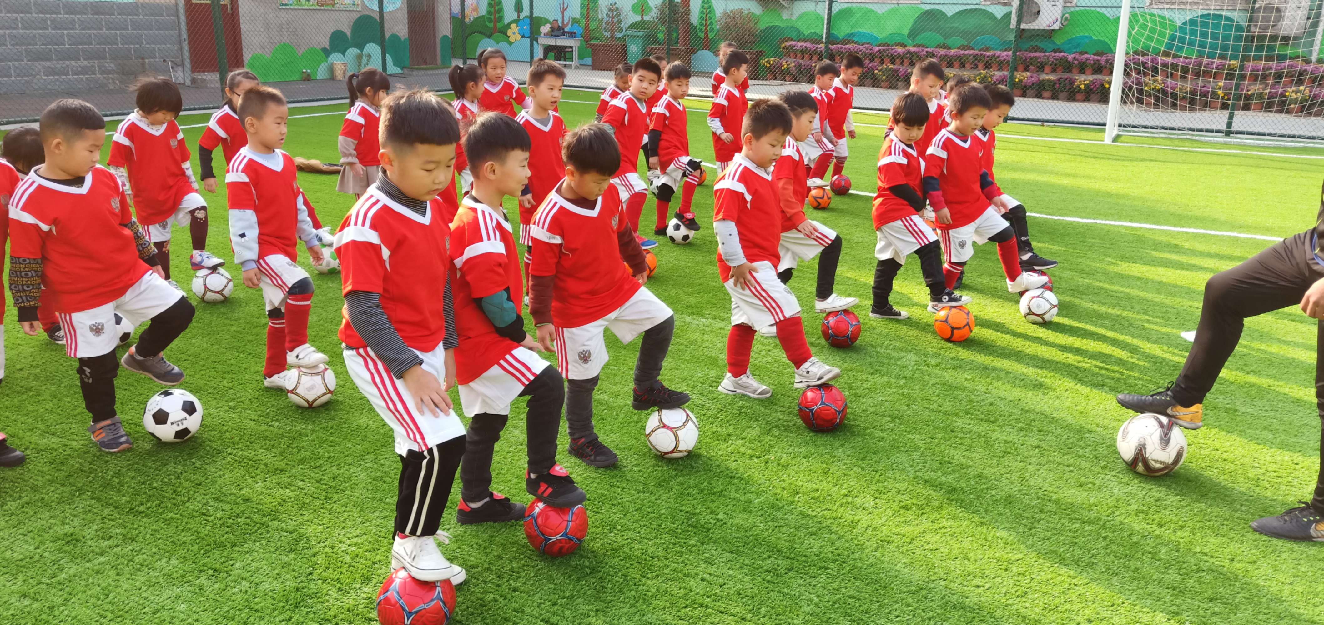 教育部发布《关于开展2021年全国足球特色幼儿园创建工作的通知》