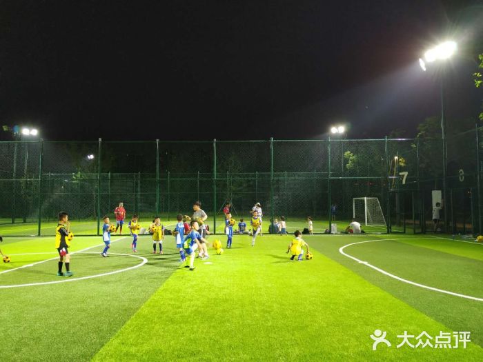
昭通市首个社会标准11人制足球场在昭阳区苏家院镇双河村建成并投入使用